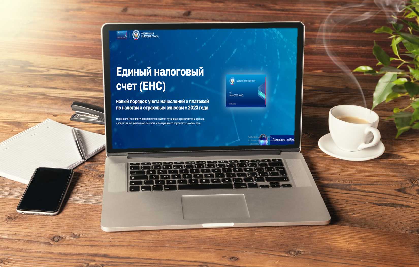 Плательщики УСН сверяют сальдо ЕНС перед авансом 28 октября